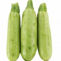 کدو اقتصادی