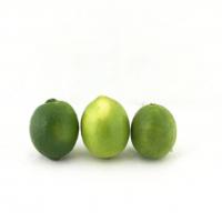 لیمو ترش میناب