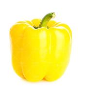 فلفل دلمه ای زرد