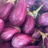 بادمجان لایر بنفش