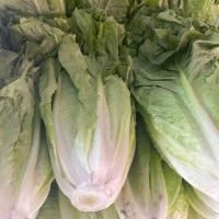 کاهو رسمی پاک شده