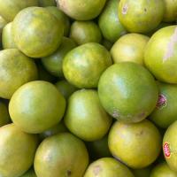 لیمو شیرین اقتصادی