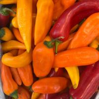 فلفل پاپریکا اصفهان