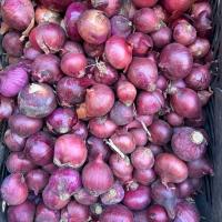 پیاز ترشی قرمز