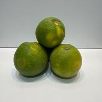 پرتقال تامسون جنوب 500 گرم