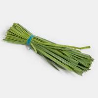 سبزی تره پاک شده 