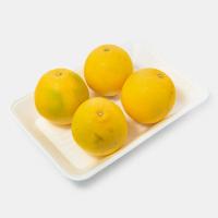 پرتقال تامسون جنوب