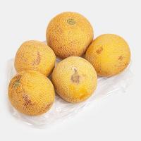 ملون درجه 2
