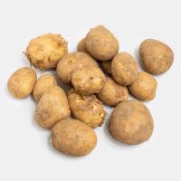 سیب زمینی اقتصادی