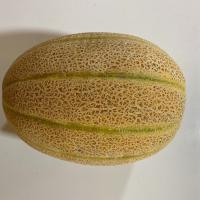 طالبی شاه پسند درجه 2