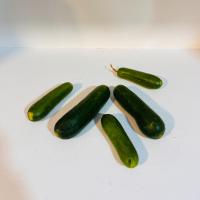 خیار مینی اصفهان درهم