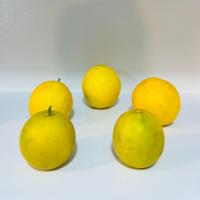 پرتقال تامسون شمال ارگانیک