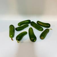 خیار مینی اصفهان درجه دو
