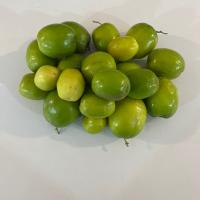 کنار هندی درهم