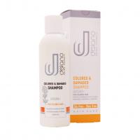 شامپو موهای رنگ شده حاوی روغن آرگان دلانو DELANO