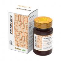 ویتاکل فورت VITACAL FORT