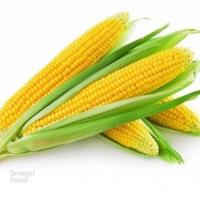 بلال مکزیکی