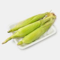 عسل طبیعت کوهستانی کیگوران