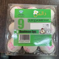 تخم مرغ دالمن 6 عدد