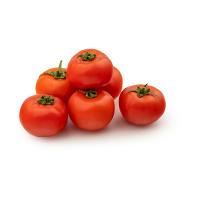 گوجه فرنگی گلخانه‌ ای 