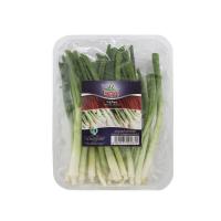 پیازچه بامیکا