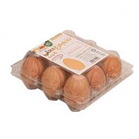 تخم مرغ محلی 9 عددی مطلا