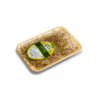 جوانه شبدر چهل چمن