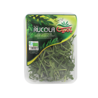 روکولا باميکا