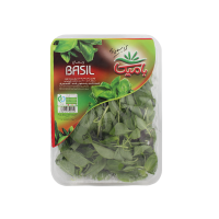 ريحان ايرانی باميکا