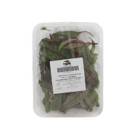 سورل باميکا