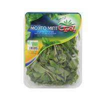 سبزی نعنا موهیتو بامیکا