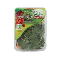 سالاد فرانسوی