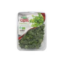 سبزی گشنیز بامیکا