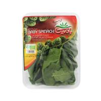 بیبی اسفناج بامیکا