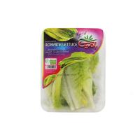 مغز کاهو رسمی بامیکا