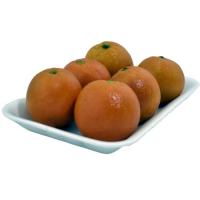 پرتقال تو سرخ شمال