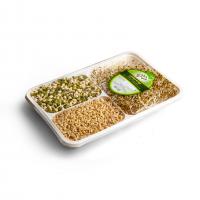 جوانه میکس چهل چمن