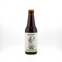 قهوه سرد دم آیریش 320میل sprout