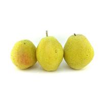 گلابی درگزی