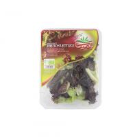 کاهو فرانسوی بامیکا