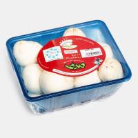 قارچ بزرگ ملارد