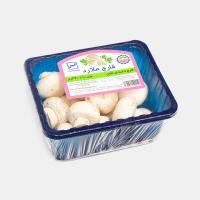 قارچ کوچک ملارد