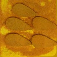 کتلت مرغ امیر منجمد