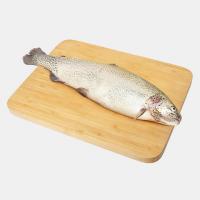 ماهی قزل آلا اردبیل درجه یک