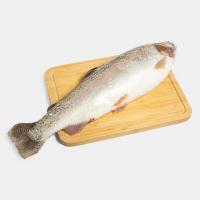 ماهی سالمون رودخانه ای