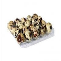 تخم بلدرچین