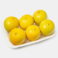 لیمو شیرین ممتاز