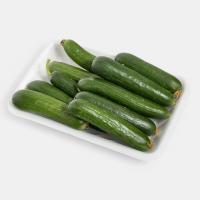خیار گلخانه ای ممتاز
