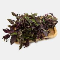 سبزی ریحان بنفش پاک شده