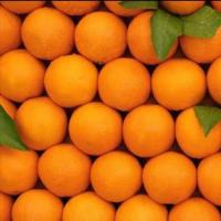 پرتقال والنسیا آبگیری